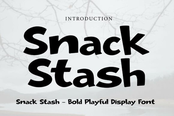 Snack Stash Display Font for Web Design